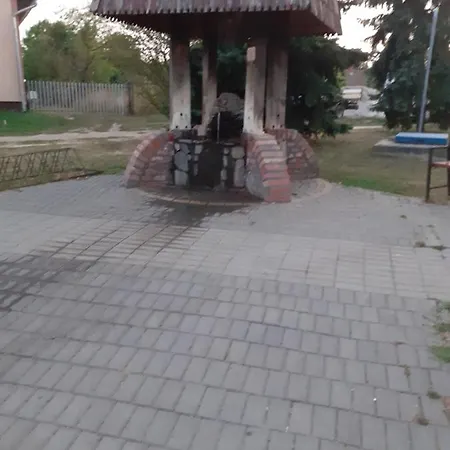 Borostyan Vendeghaz Apartment Tiszaug Exterior photo