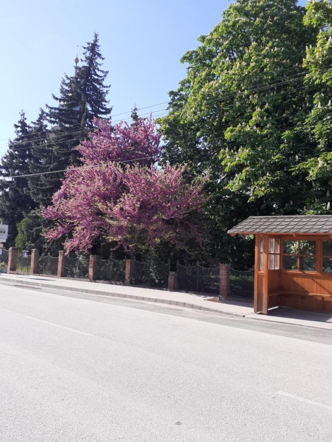 Apartment Borostyan Vendeghaz